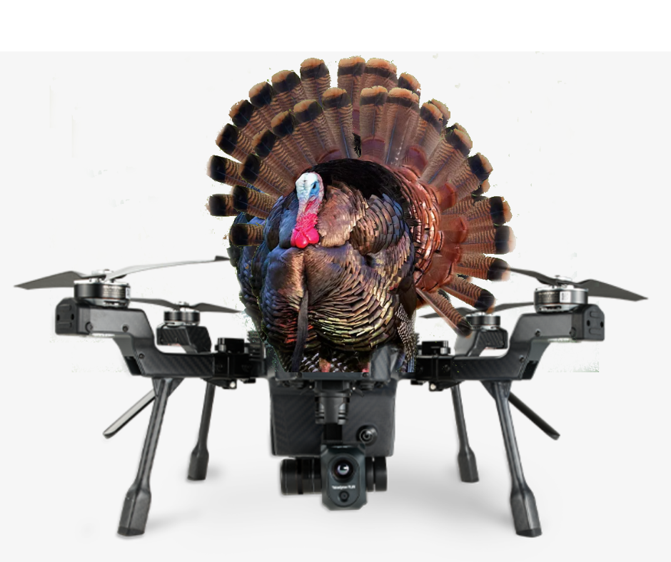 Turkey Drones Going Fast!