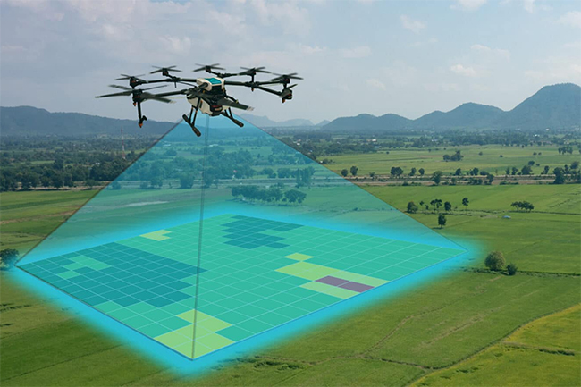 Transforming Landscapes with 3D LiDAR Mapping