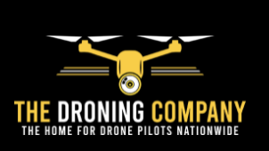 Drone best sale pilot websites